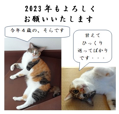 2023_nenshi.jpg